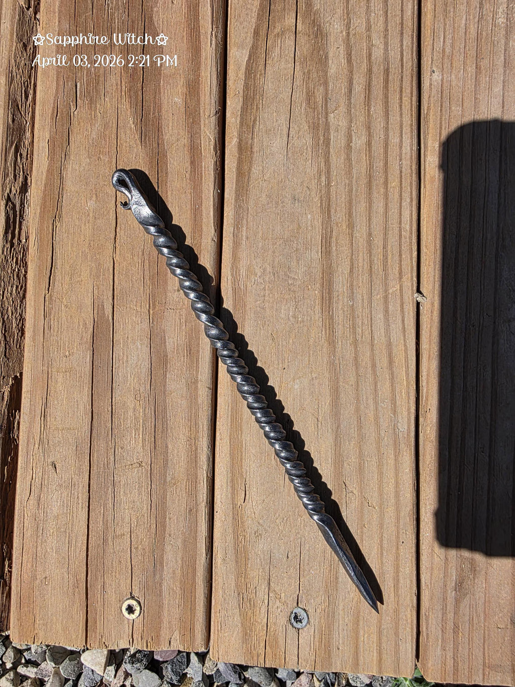 Witch's Brooming Needle